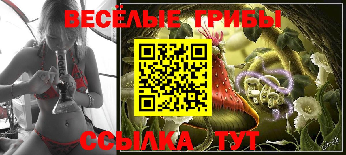Псилоцибиновые грибы мицелий Шали