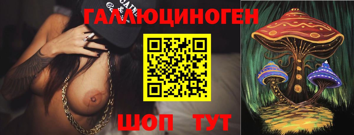 Галлюциногенные грибы Psilocybine cubensis  Вход с VPN  Шали 
